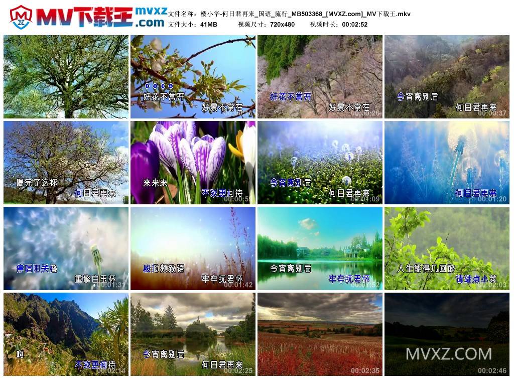 楼小华-何日君再来_国语_流行_MB503368